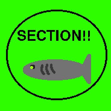 Section 1