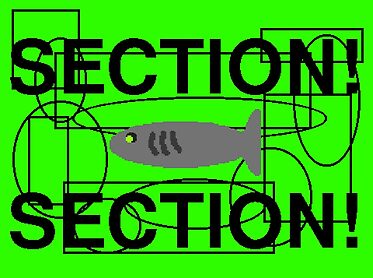 Section 2